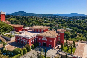 From Nice: Cannes, Saint Paul de Vence and Wine Tasting