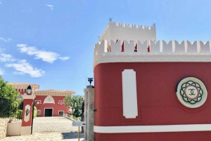 From Nice: Cannes, Saint Paul de Vence and Wine Tasting