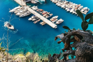 From Nice: Eze, Monaco, & Monte-Carlo Half-Day Trip