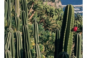 ニース発モナコ、モンテカルロ、エズ終日ツアー