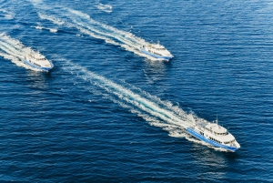 From Nice: Round-Trip Transportation to Saint Tropez by Boat