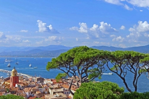 From Nice: Saint-Tropez and Port Grimaud Full-Day Tour