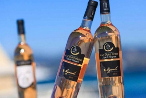 From Nice: Saint-Tropez and Port Grimaud