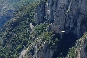 From Nice: The Grand Canyon of Europe & its Lavender Fields