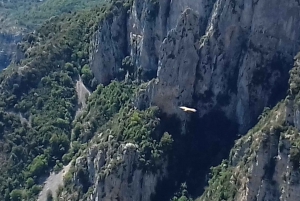 From Nice: The Grand Canyon of Europe & its Lavender Fields