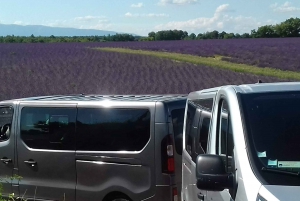 From Nice: The Grand Canyon of Europe & its Lavender Fields