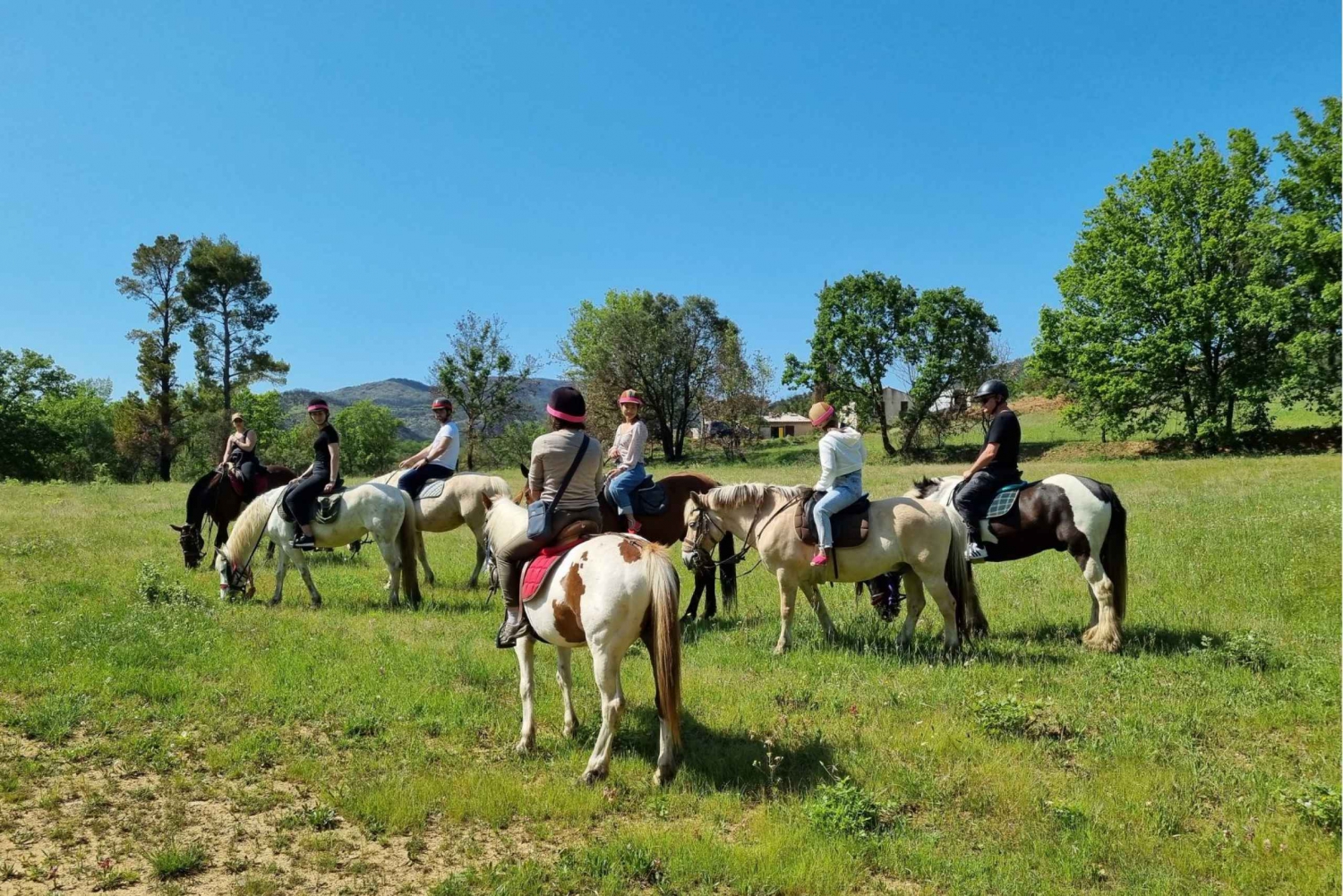 Grimaud: Reiten & Weinverkostung im Wald von Maures
