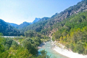 Nice: 7 Hills Electric Bike Tour with Local Guide