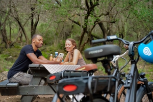 Nice: bike and E-bike Rental