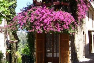 Nice: Countryside Tour with Grasse