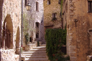 Nice: Countryside Tour with Grasse