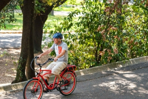 Nice: E-Bike City Highlights Tour
