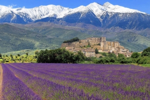 Nizza: Tour zur Verdonschlucht und zu den Lavendelfeldern