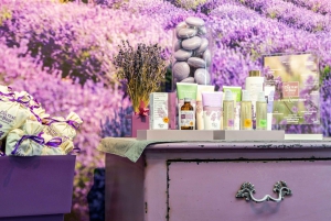 Nice: Gorges of Verdon and Fields of Lavender Tour