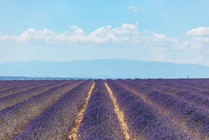 Nice: Gorges of Verdon and Fields of Lavender Tour