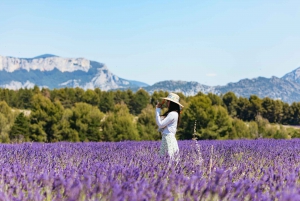 Nice: Gorges of Verdon and Fields of Lavender Tour