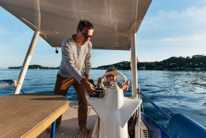 Nice: Private Evening Tour on Solar Powered Boat