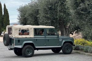 ニース：ディフェンダーに乗ってリヴィエラを走り、エズを発見しましょう