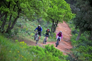 Ramatuelle: Tracks & Tasting Winery Tour by Mountain E-Bike