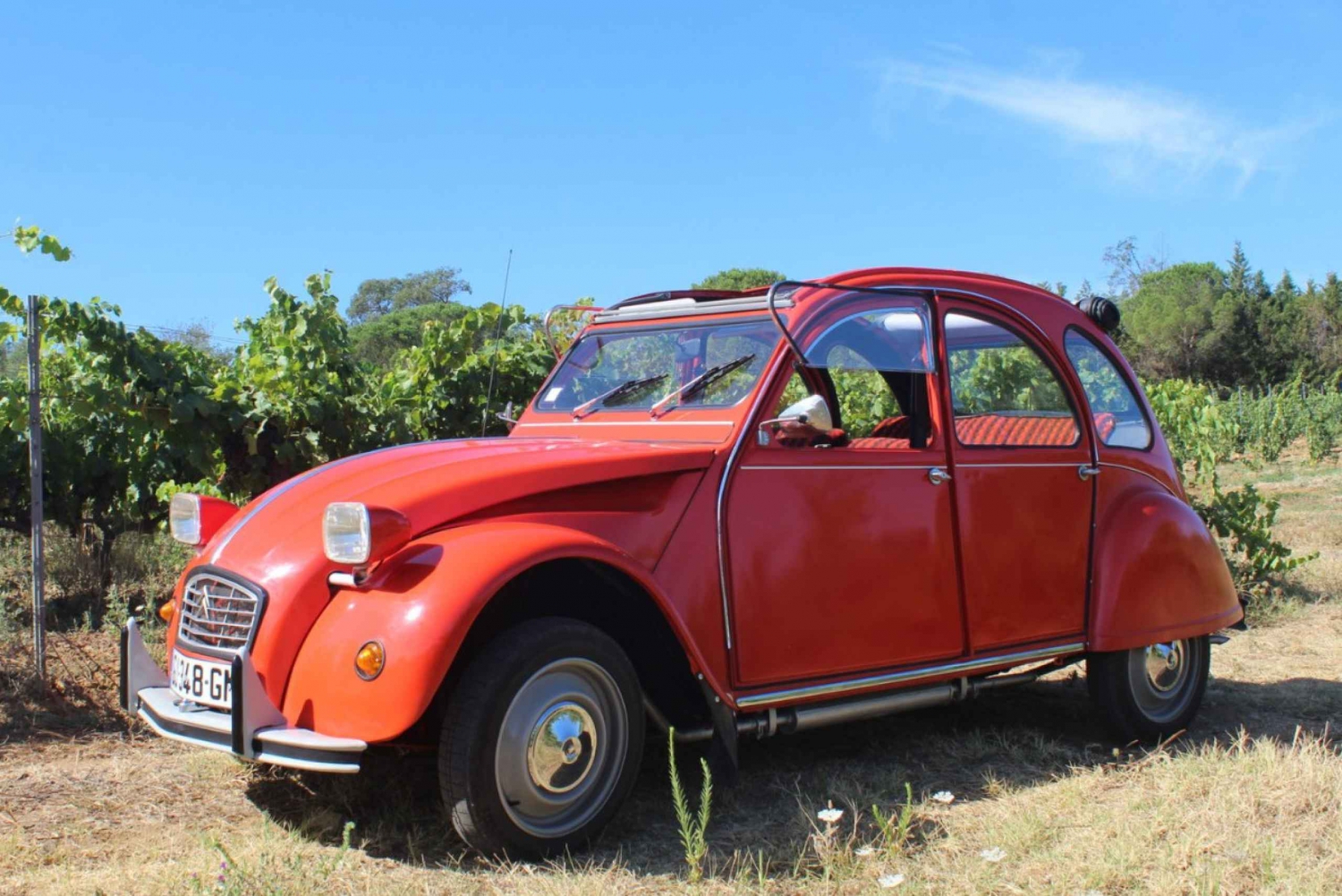 サントロペヴィンテージカー・ワインツアー