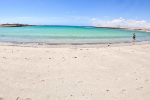 Corralejo: Roundtrip Ferry to Lobos Island with Entry Pass