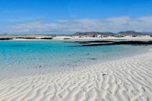 From Caleta de Fuste or Corralejo 5-6 Hours E-Bike Tour