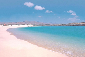 From Caleta de Fuste or Corralejo 5-6 Hours E-Bike Tour
