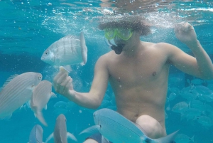 From Caleta de Fuste: Return Bus and Ferry to Lobos Island