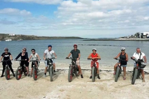 From Corralejo: Fuerteventura E-Bike Tour