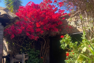 Fuerteventura: tour privado y personalizado por la isla