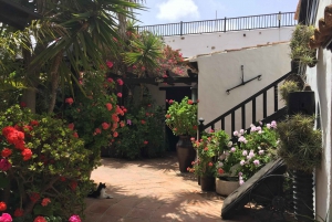 Fuerteventura: Fuerteuruerta: Discovery Tour