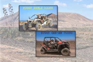 Fuerteventura: Fuerteventuran pohjoisosassa: Dyyni Buggy Tour in Northern Fuerteventura