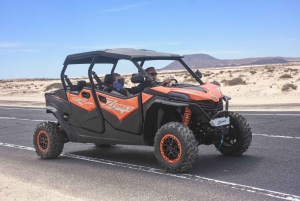 Fuerteventura: Dune Buggy Tour in Northern Fuerteventura