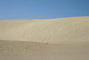 Fuerteventura: Island Tour by Minibus