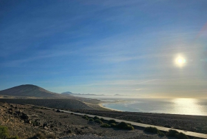 Fuerteventura: Island Tour by Minibus