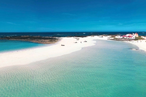 Fuerteventura: Island Tour by Minibus