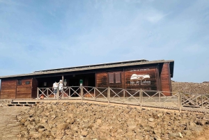 Fuerteventura: tour guiado a la isla de Lobos con snorkel