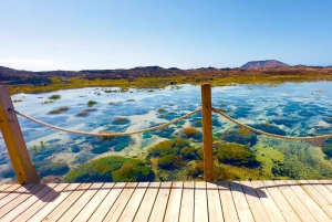 Fuerteventura: tour guiado a la isla de Lobos con snorkel