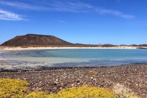 Fuerteventura: tour guiado a la isla de Lobos con snorkel