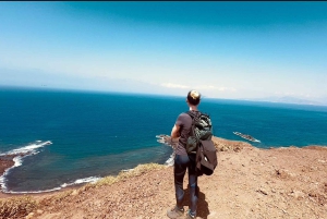 Fuerteventura: tour guiado a la isla de Lobos con snorkel
