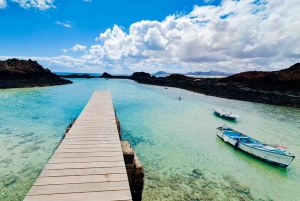 Fuerteventura: tour guiado a la isla de Lobos con snorkel
