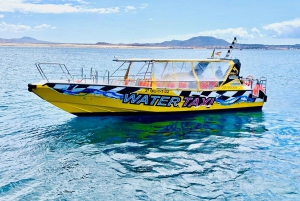 Lobos: grupo de 8 personas con guía (Lobos, Playa del Popcorn y dunas)