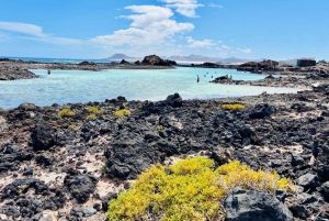 Lobos: grupo de 8 personas con guía (Lobos, Playa del Popcorn y dunas)