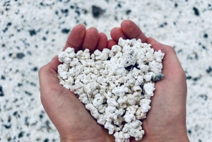 Lobos: grupo de 8 personas con guía (Lobos, Playa del Popcorn y dunas)