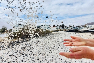 Lobos: grupo de 8 personas con guía (Lobos, Playa del Popcorn y dunas)