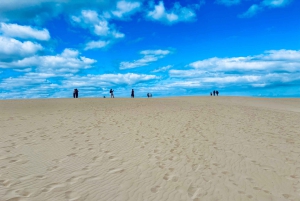 Lobos: grupo de 8 personas con guía (Lobos, Playa del Popcorn y dunas)