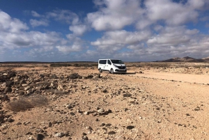 Fuerteventura North Full-Day Tour