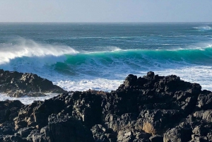 Fuerteventura North Full-Day Tour