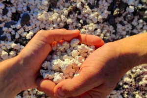 Playa Popcorn, Isla de Lobos y Dunas: ¡Playa Popcorn!