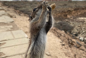 Playa Popcorn, Isla de Lobos y Dunas: ¡Playa Popcorn!